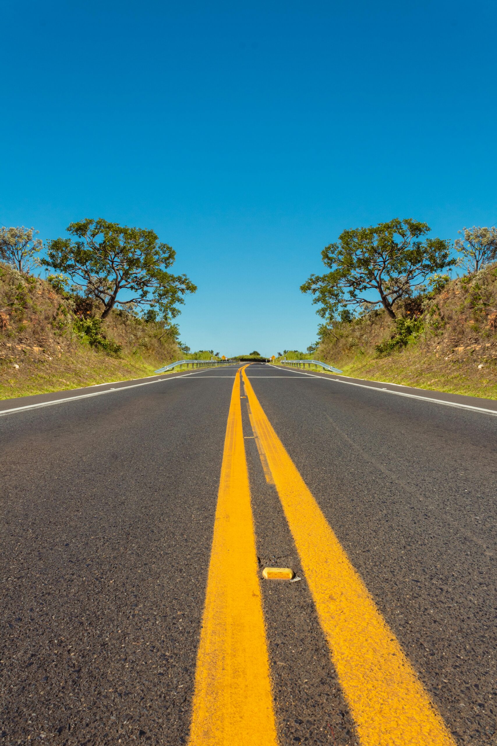 A peaceful rural roadway surrounded by nature under a clear blue sky.