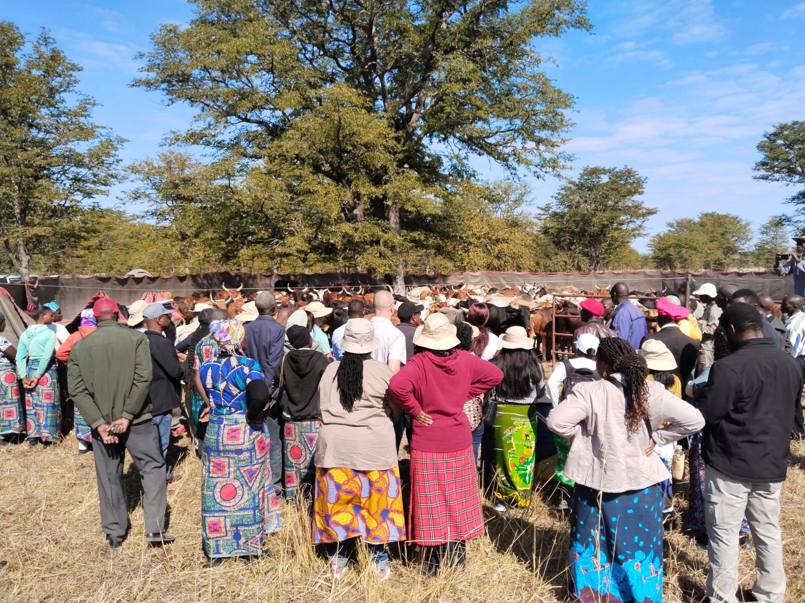IKI Growing Greener Project: Key Highlights from the 2nd Regional Steering Committee